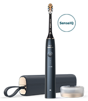 Philips PPrestige 9900