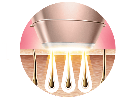 Philips Krok1 Bri958 Ikona Roz Numer