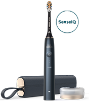 Philips PPrestige 9900