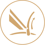 Philips System Lift & Cut